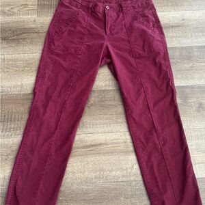 Stylish Burgundy Pants